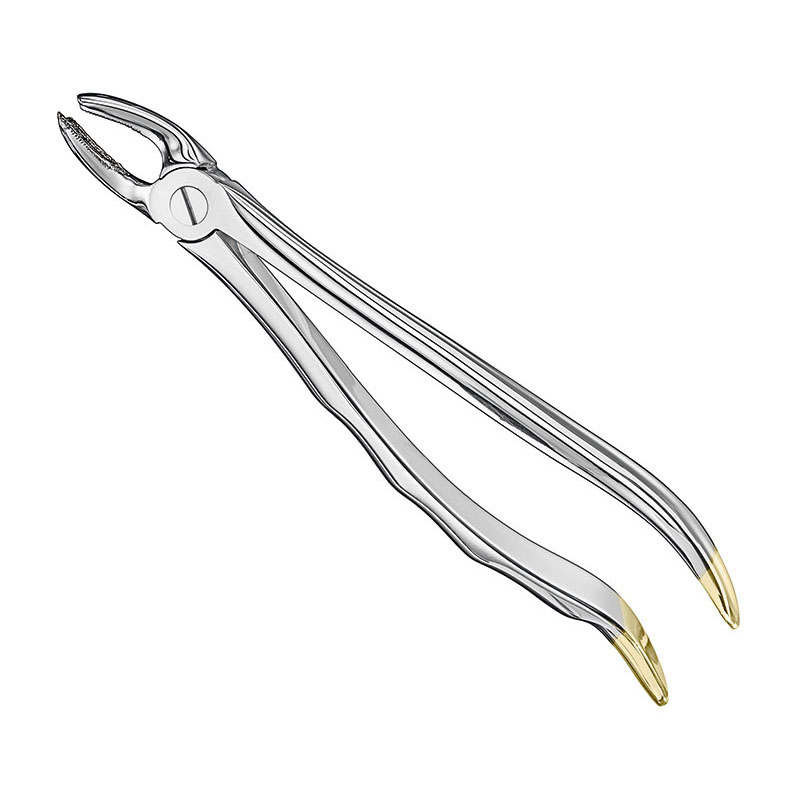 Extracting forceps, anat.