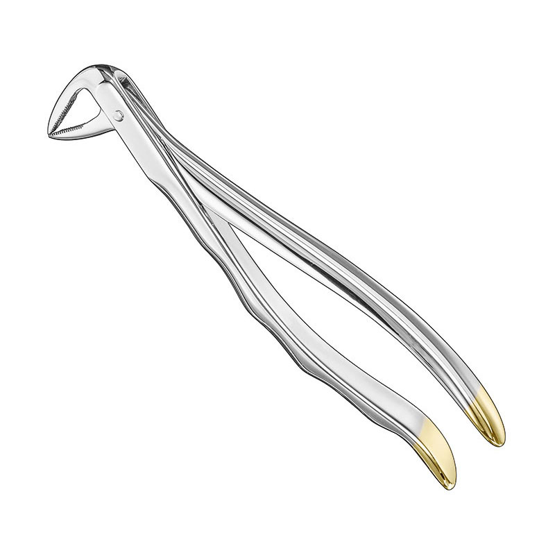 Extracting forceps, anat.