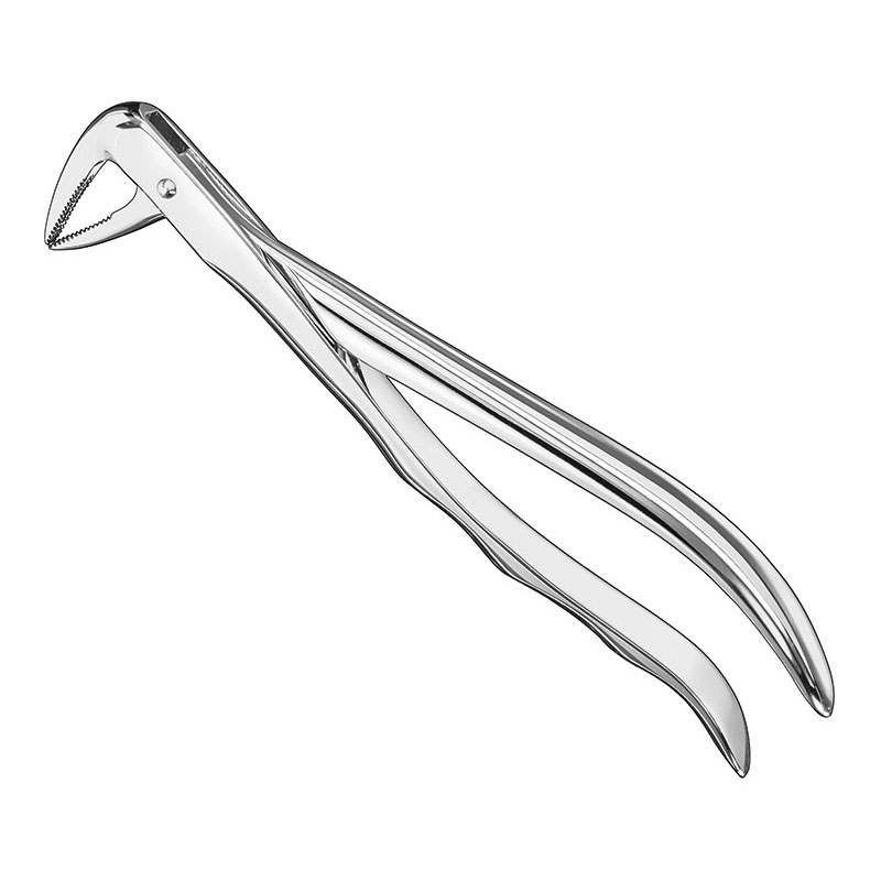 Extracting forceps, anat.